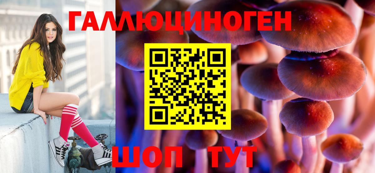 Псилоцибиновые грибы GOLDEN TEACHER  Вход с VPN  Кировск 